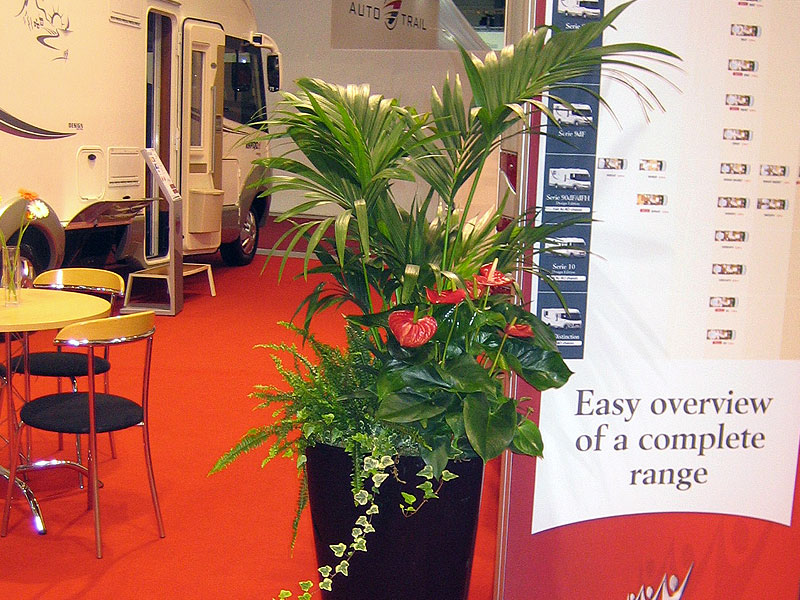 Tall Slim Black Container of mixed Red & Green foliage