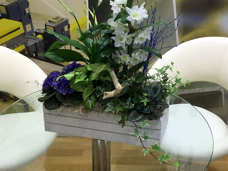 Contemporary wooden herb crate of mixed flowers