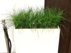 Tall Trough of artificial Grasses with Barrier Ropes available