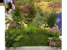 Natural Planting to blend with graphic wall