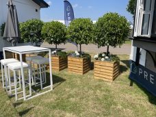 Large Bay Trees