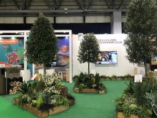 Groups of large trees